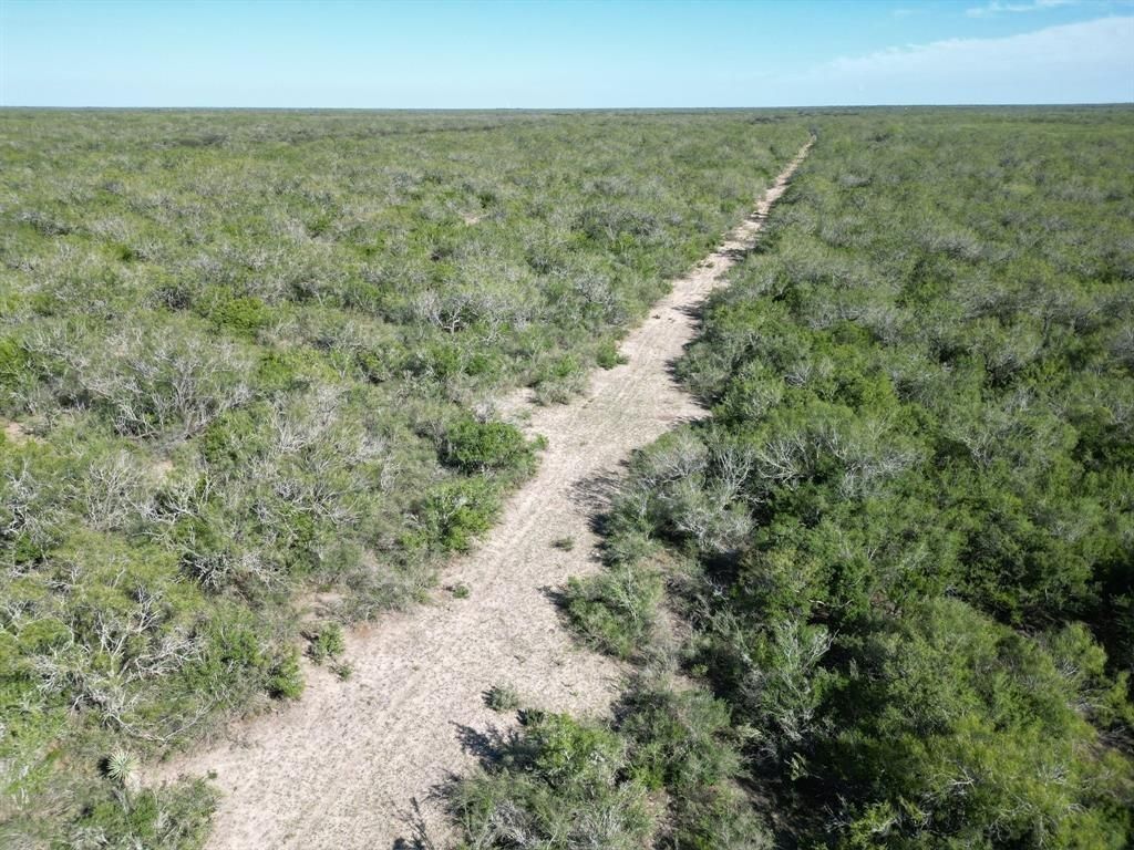 County Road 268, Realitos, TX 78376