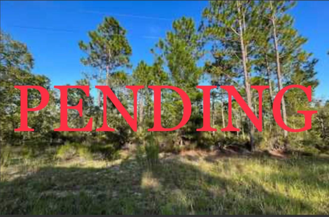 1.1 acres in Putnam County, Florida