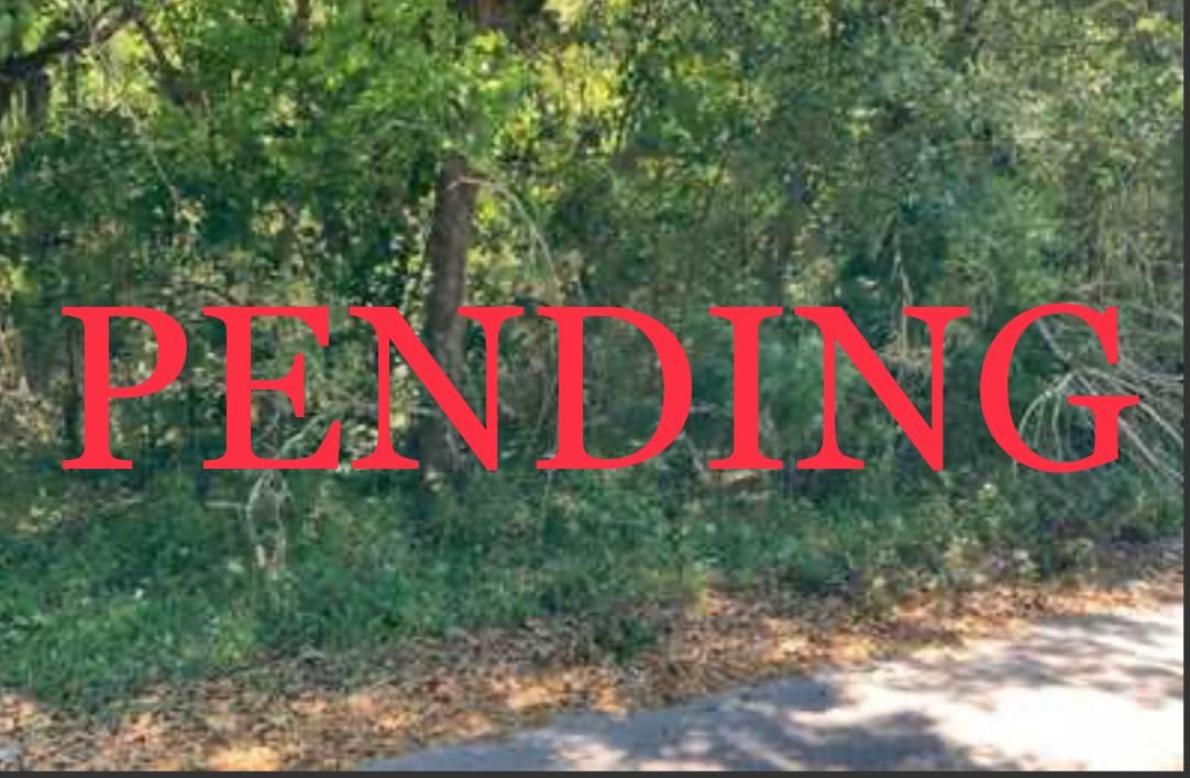 NE 139th St, Waldo, FL 32694 MLS Riehl Lot