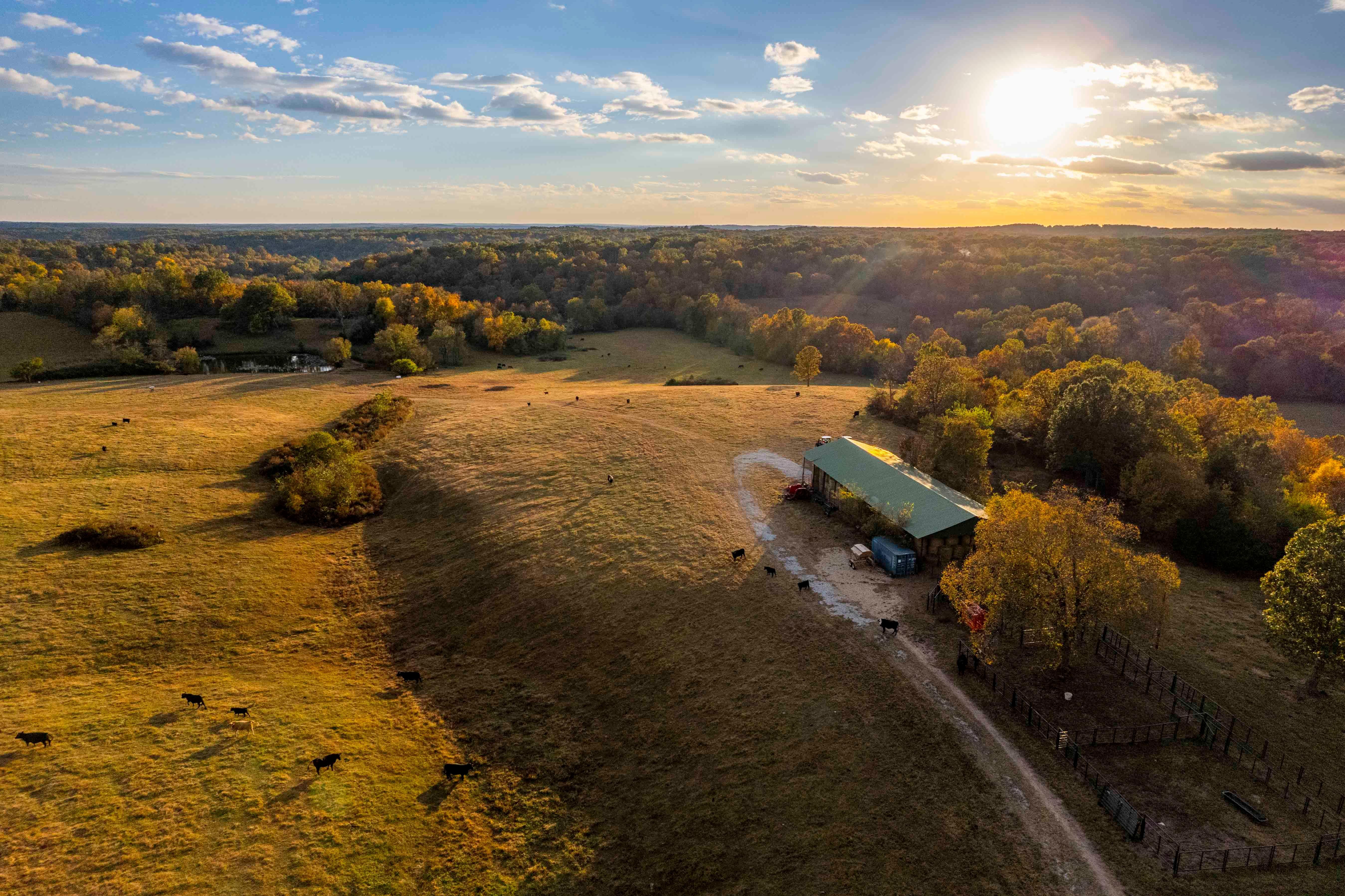 226 acres in Crawford County, Missouri