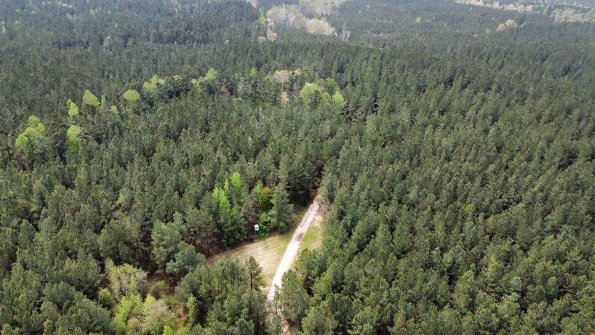 72 acres in Newton County, Mississippi