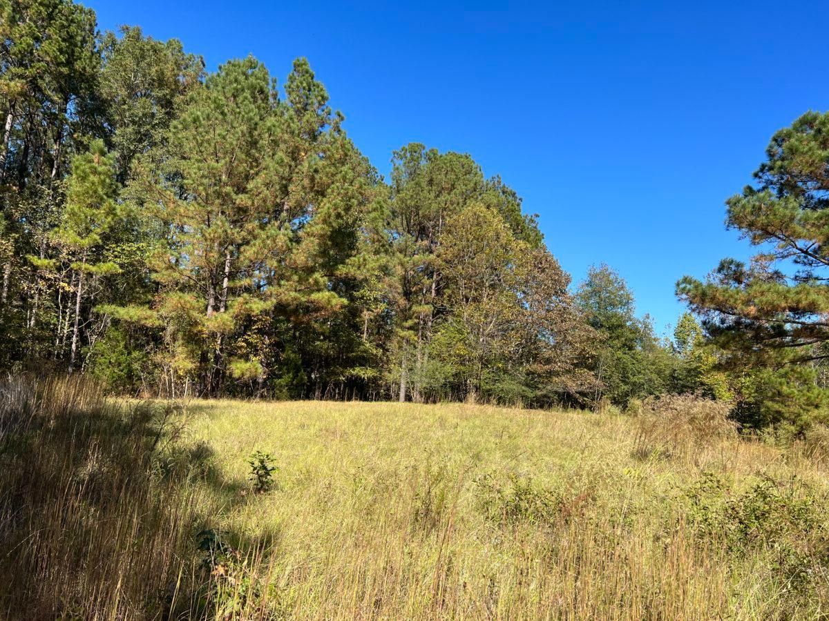 19 acres in Leake County, Mississippi