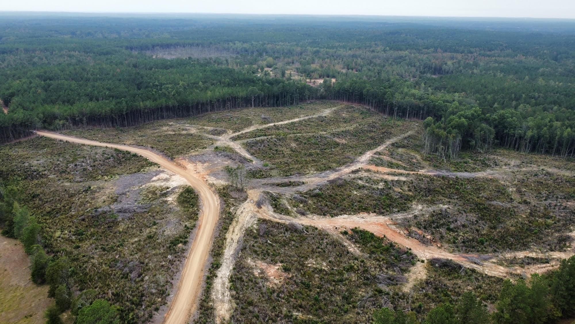 79 acres in Attala County, Mississippi