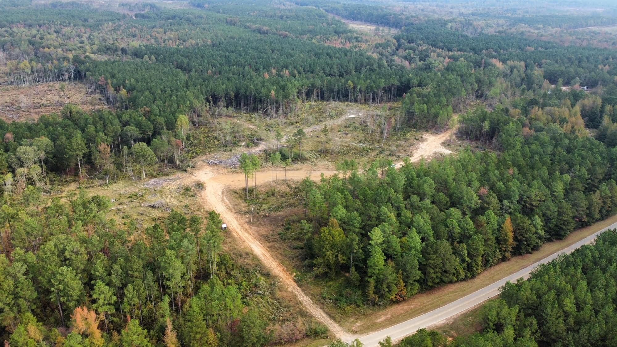 45 Acres, Attala County, MS, Ethel, MS 39108