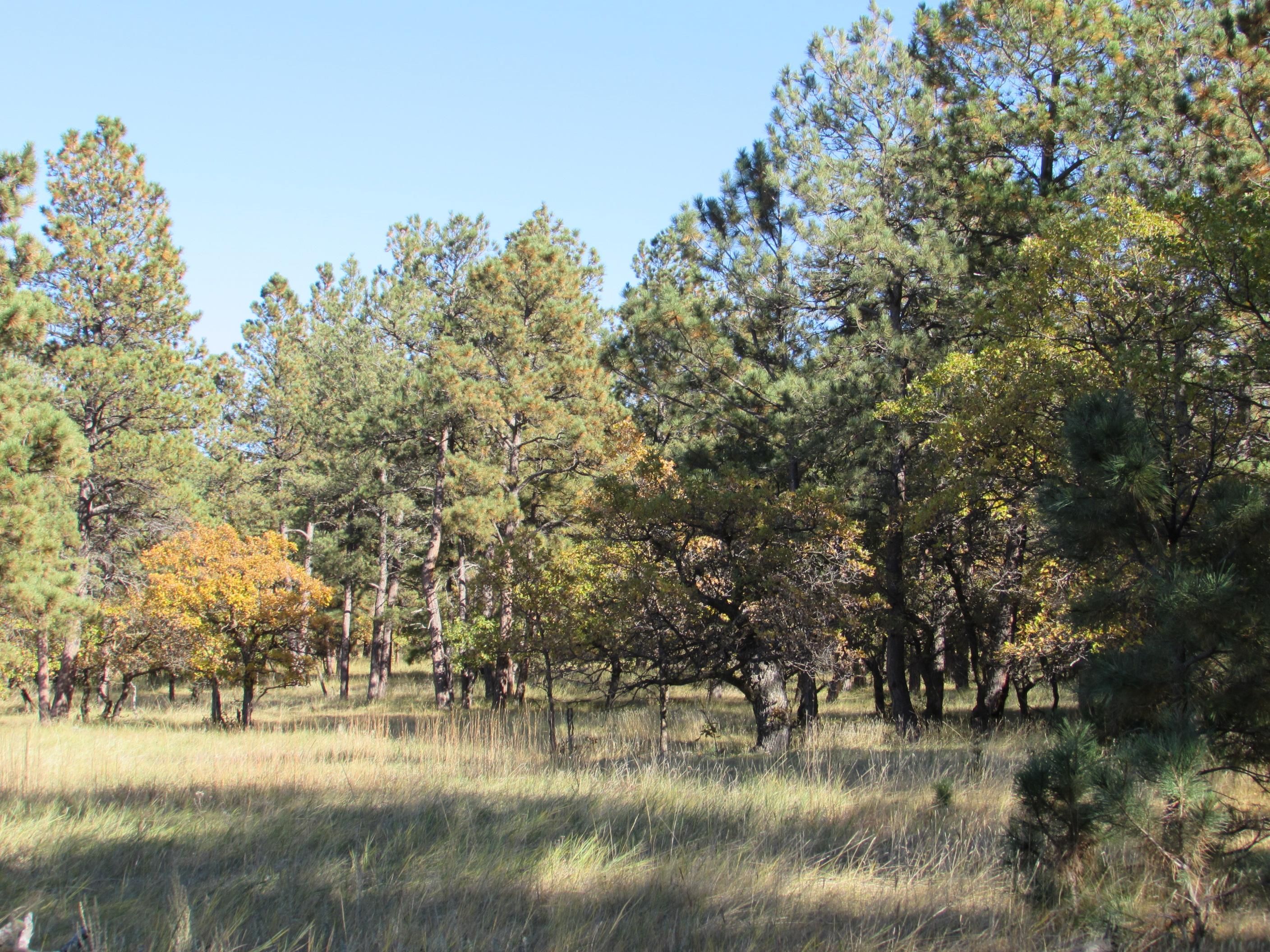 35.63 acres in Crook County, Wyoming