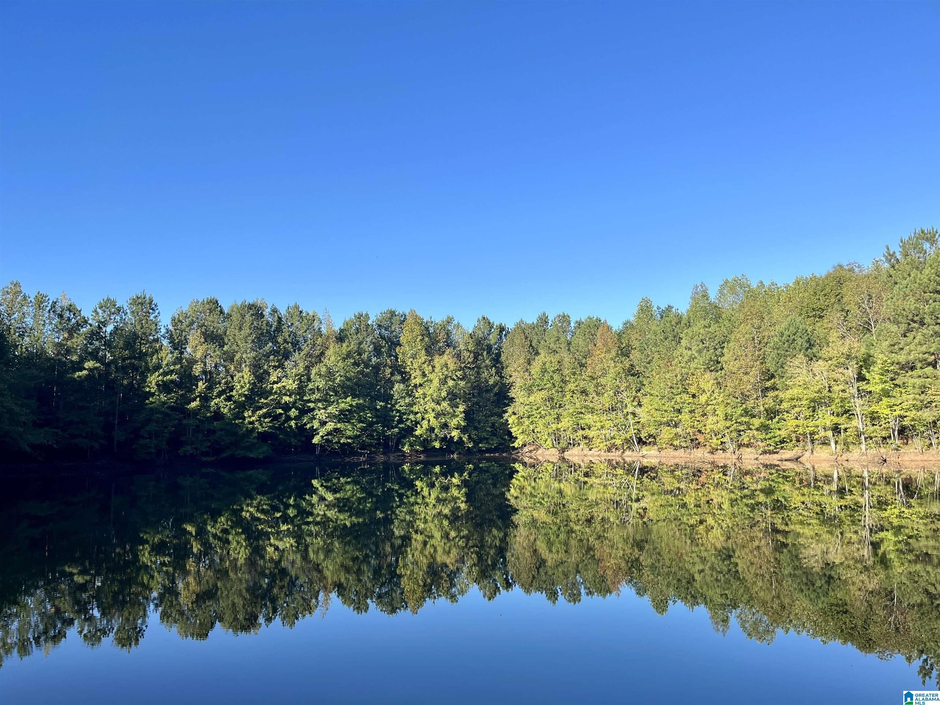 59 acres in Randolph County, Alabama