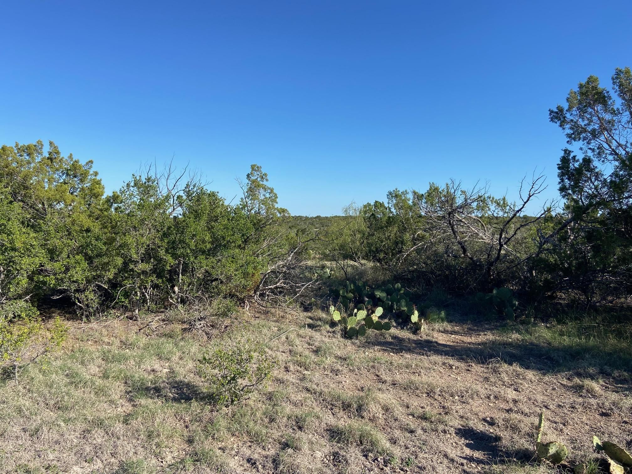111 acres in Val Verde County, Texas