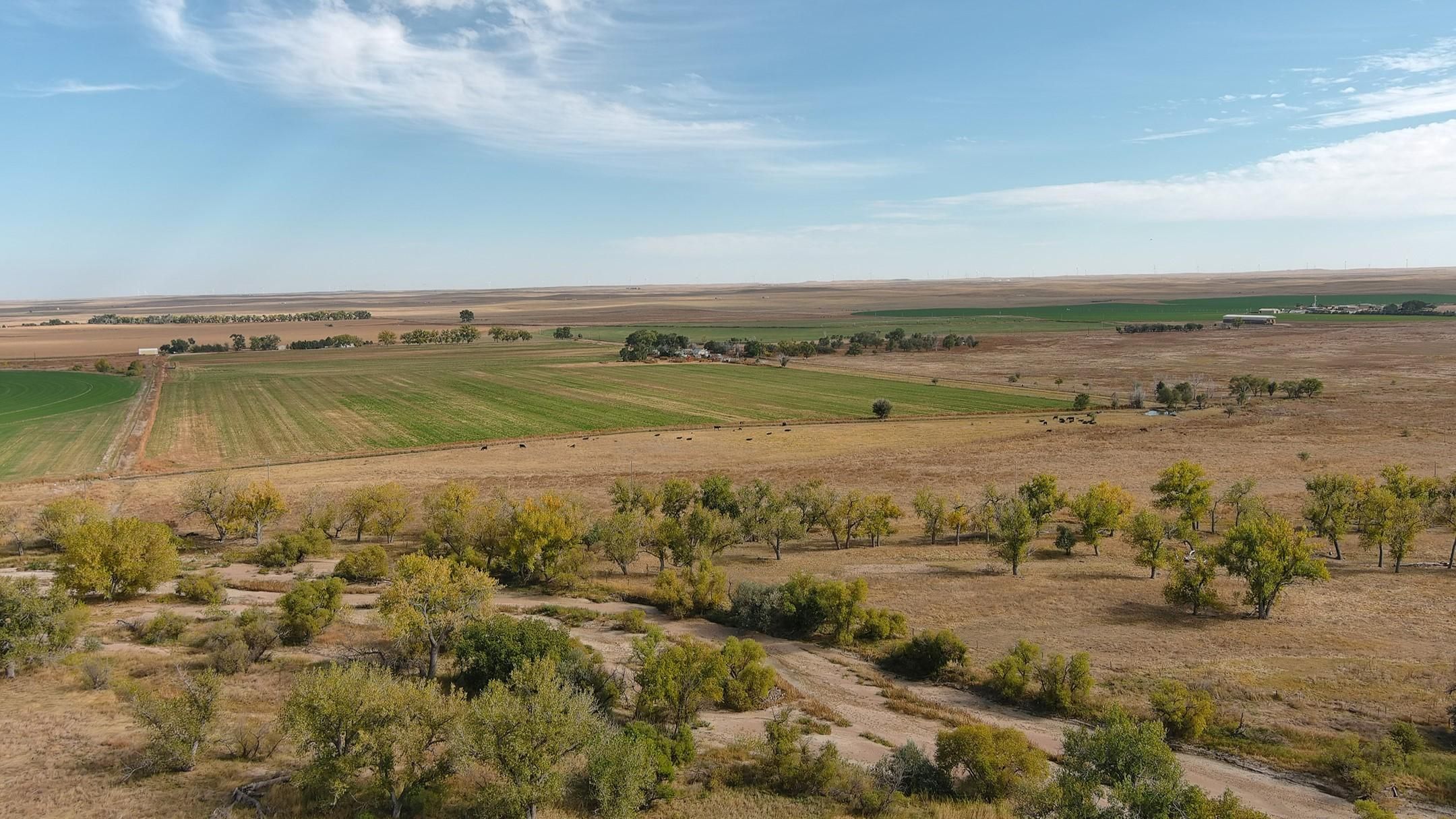 119 acres in Logan County, Colorado