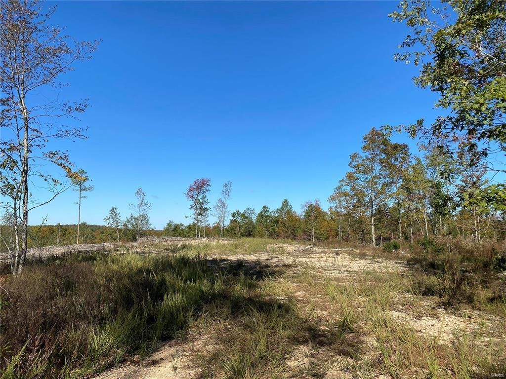 County Road 146A, Annapolis, MO 63620 MLS 23046680