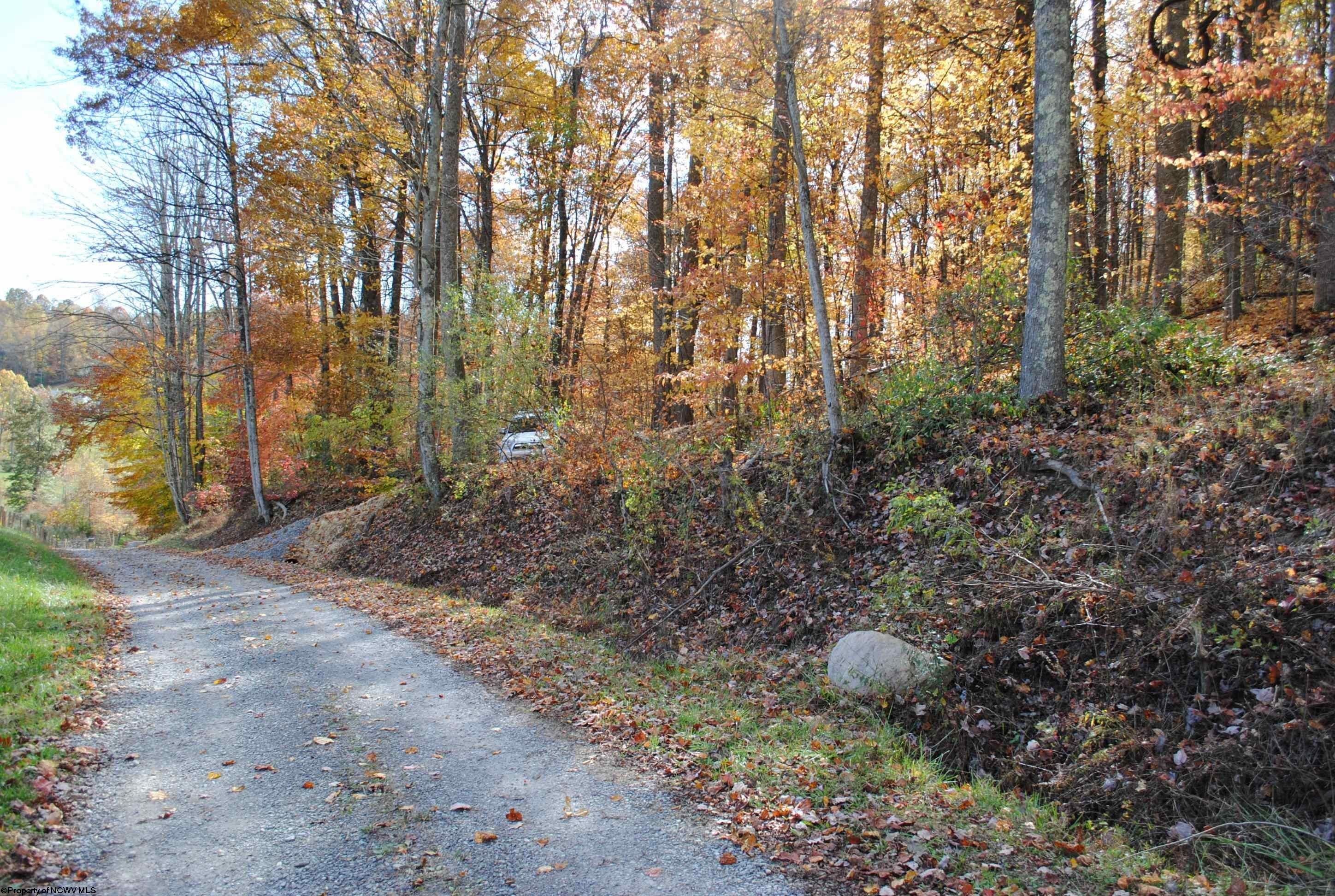 6.23 acres in Barbour County, West Virginia