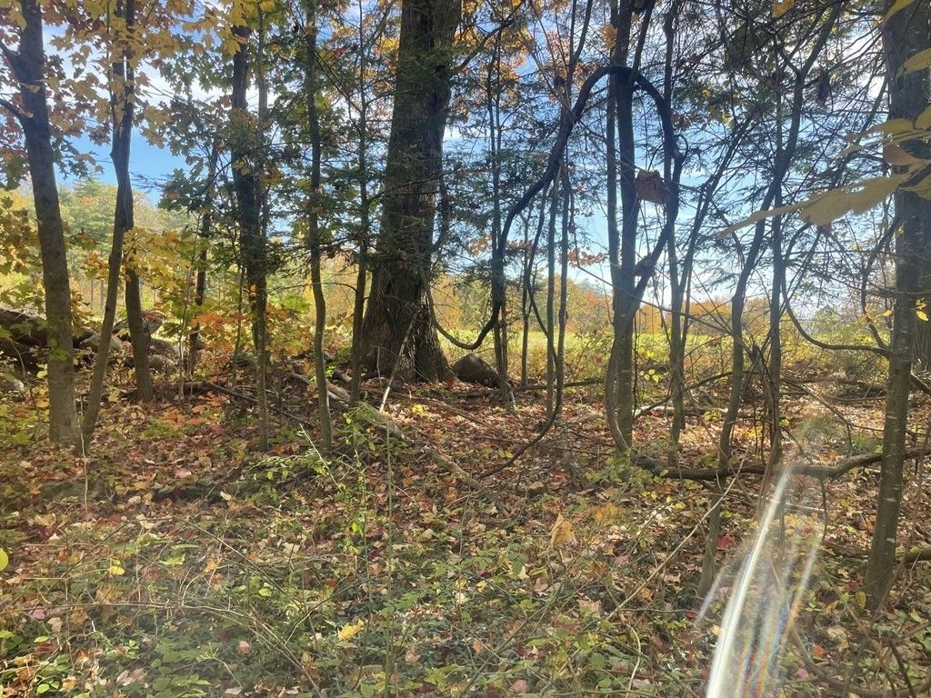 40 acres in Worcester County, Massachusetts