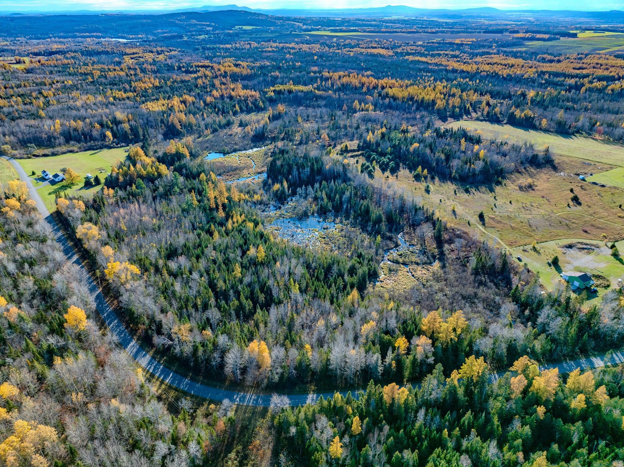 5 acres in Aroostook County, Maine