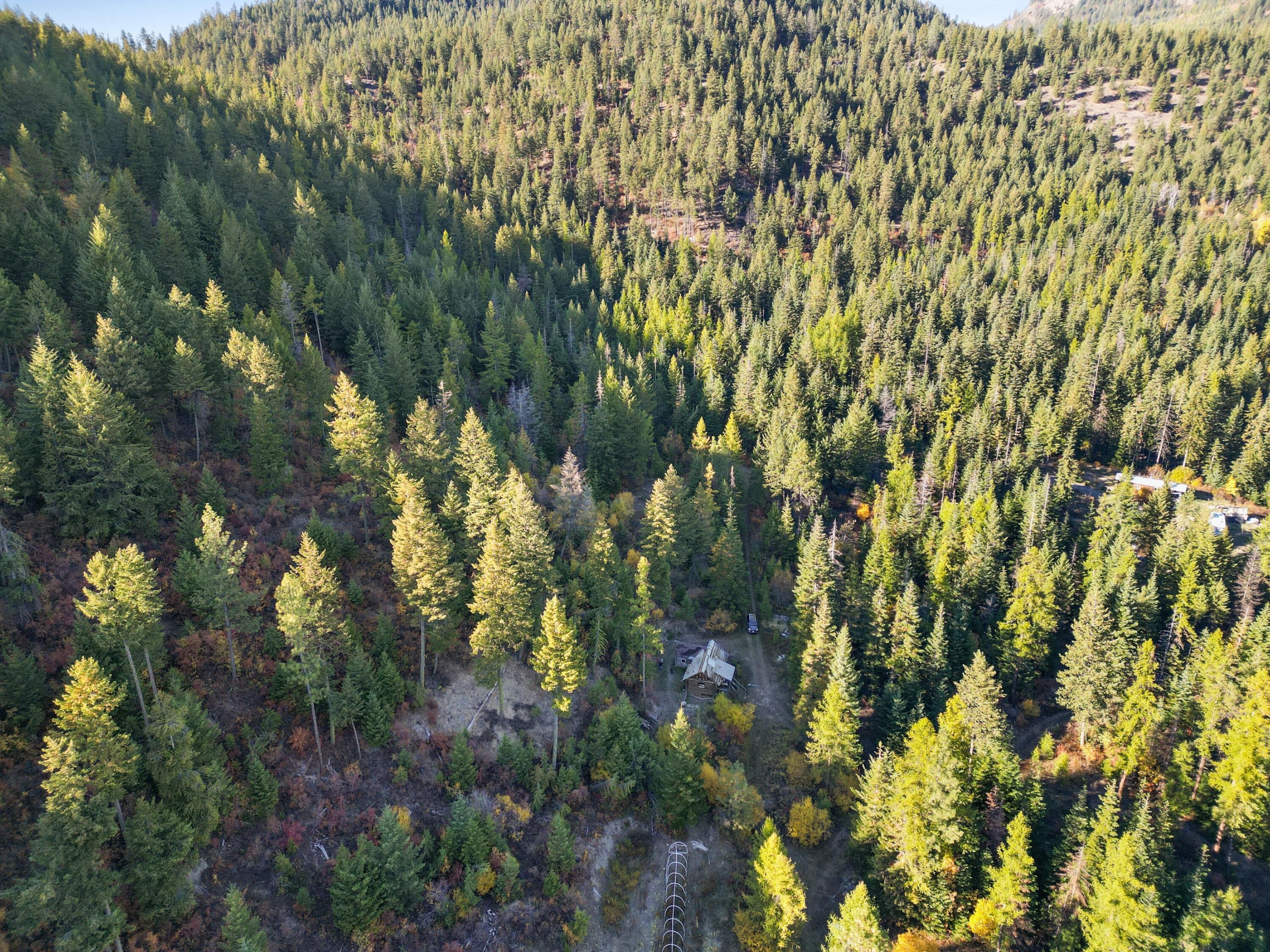 20 acres in Stevens County, Washington