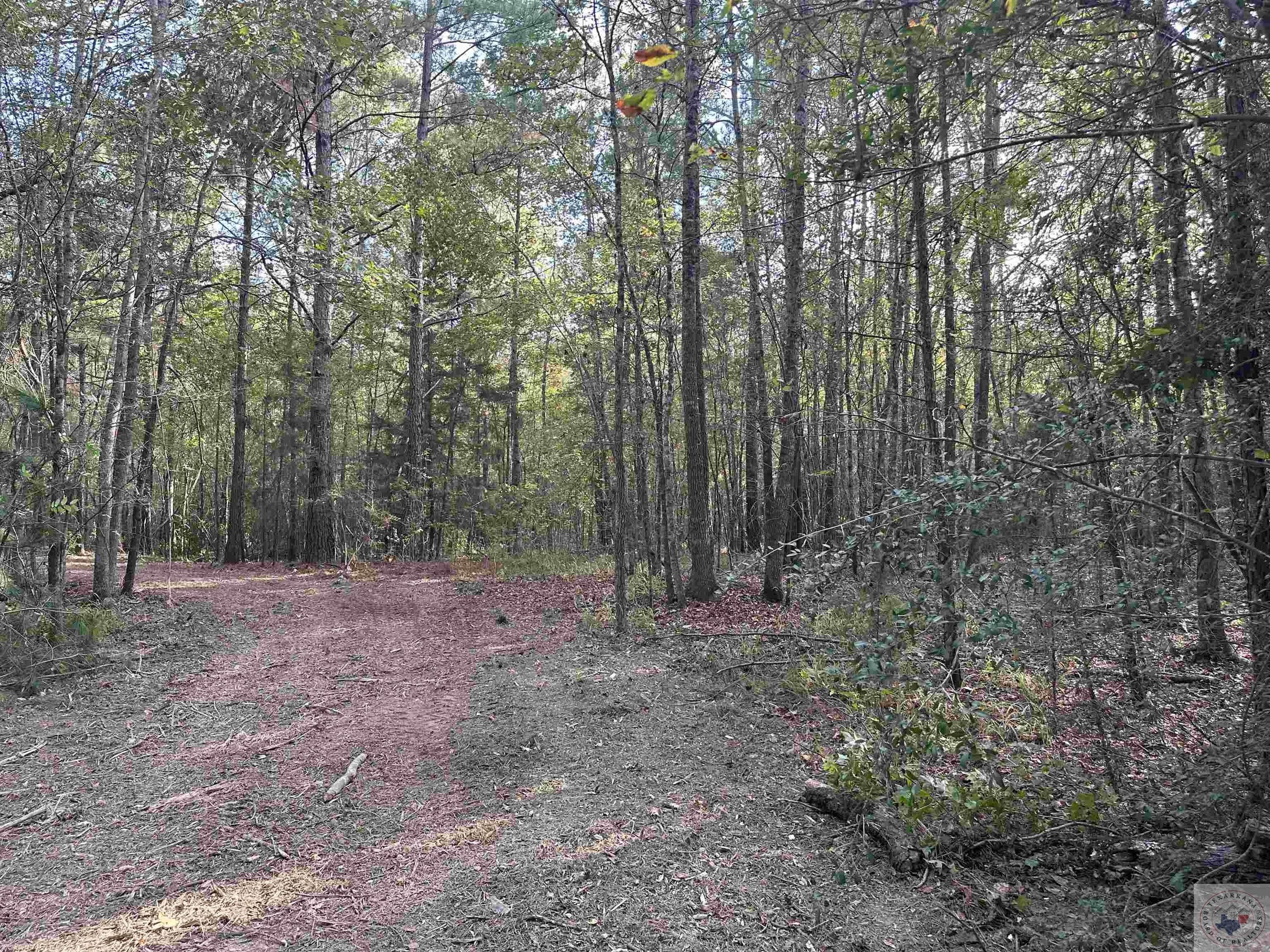 16 acres in Cass County, Texas