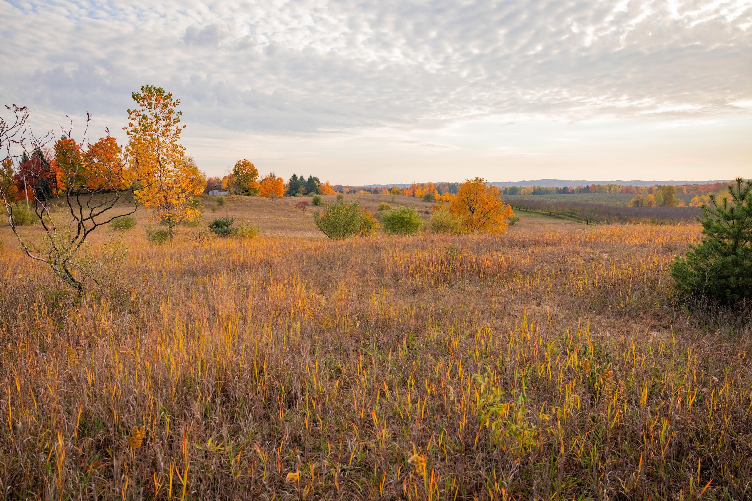 20 acres in Oceana County, Michigan