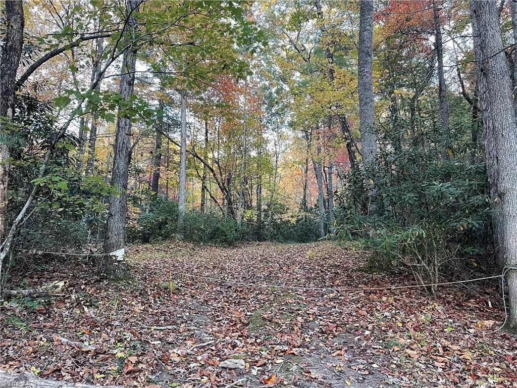 15.09 acres in Patrick County, Virginia