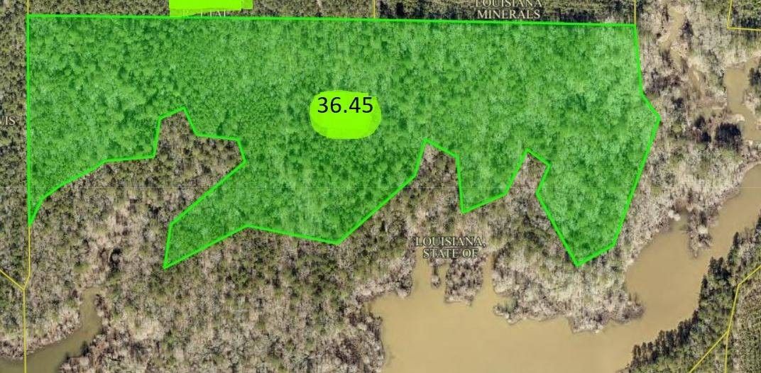 36.45 acres in Sabine Parish, Louisiana