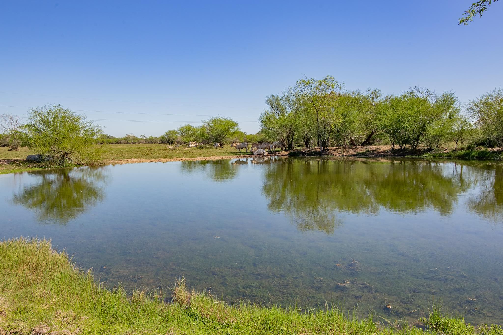 103 acres in Victoria County, Texas
