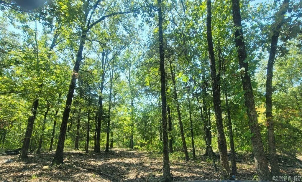 3 acres in Logan County, Arkansas