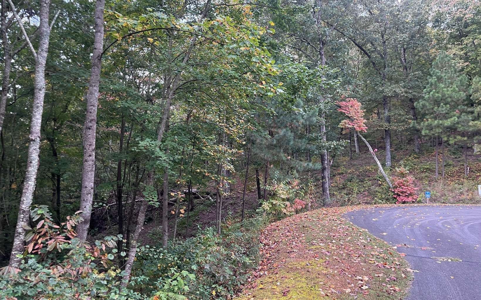 1.93 acres in Gilmer County,