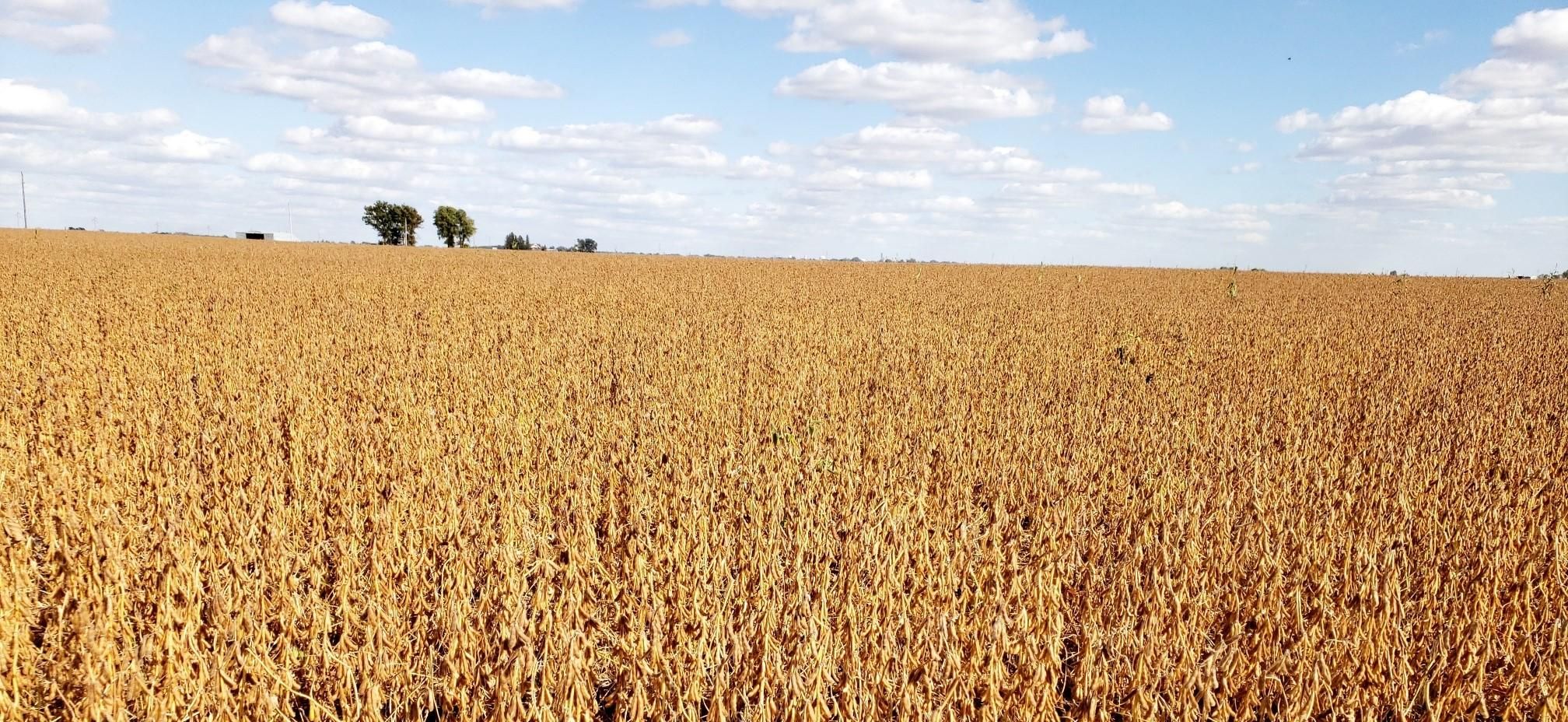 297 acres in Warren County, Illinois