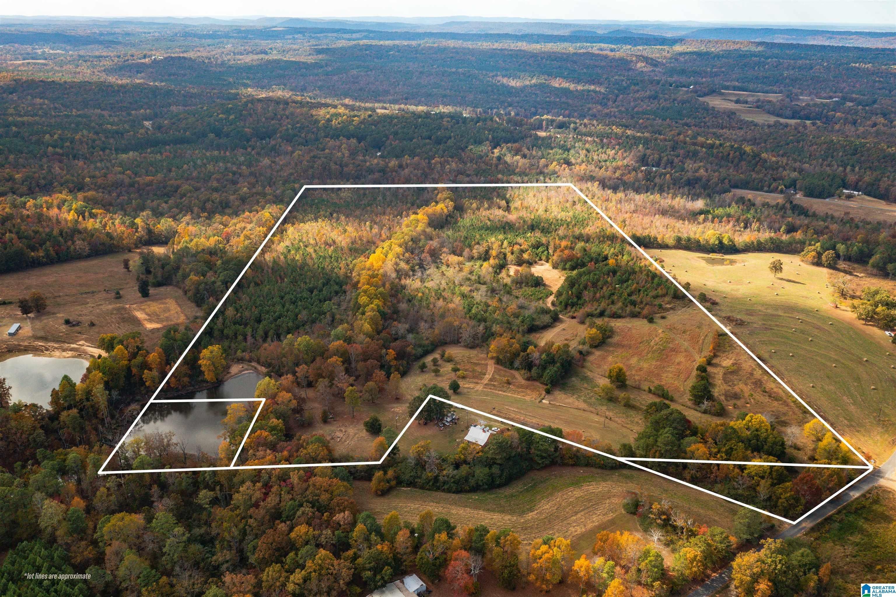 76.9 acres in Etowah County, Alabama