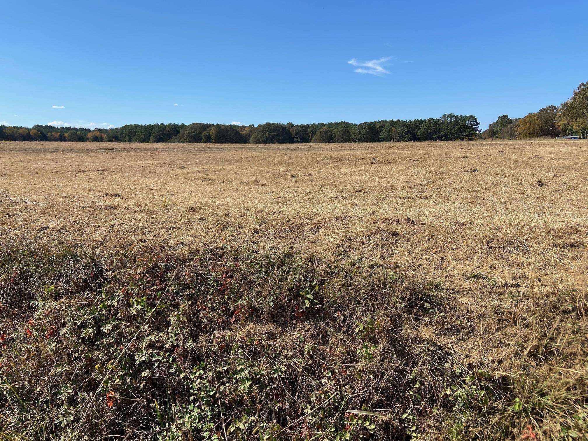 Gfkyunrestricted Land In Tennessee 46 - gu9hgy9