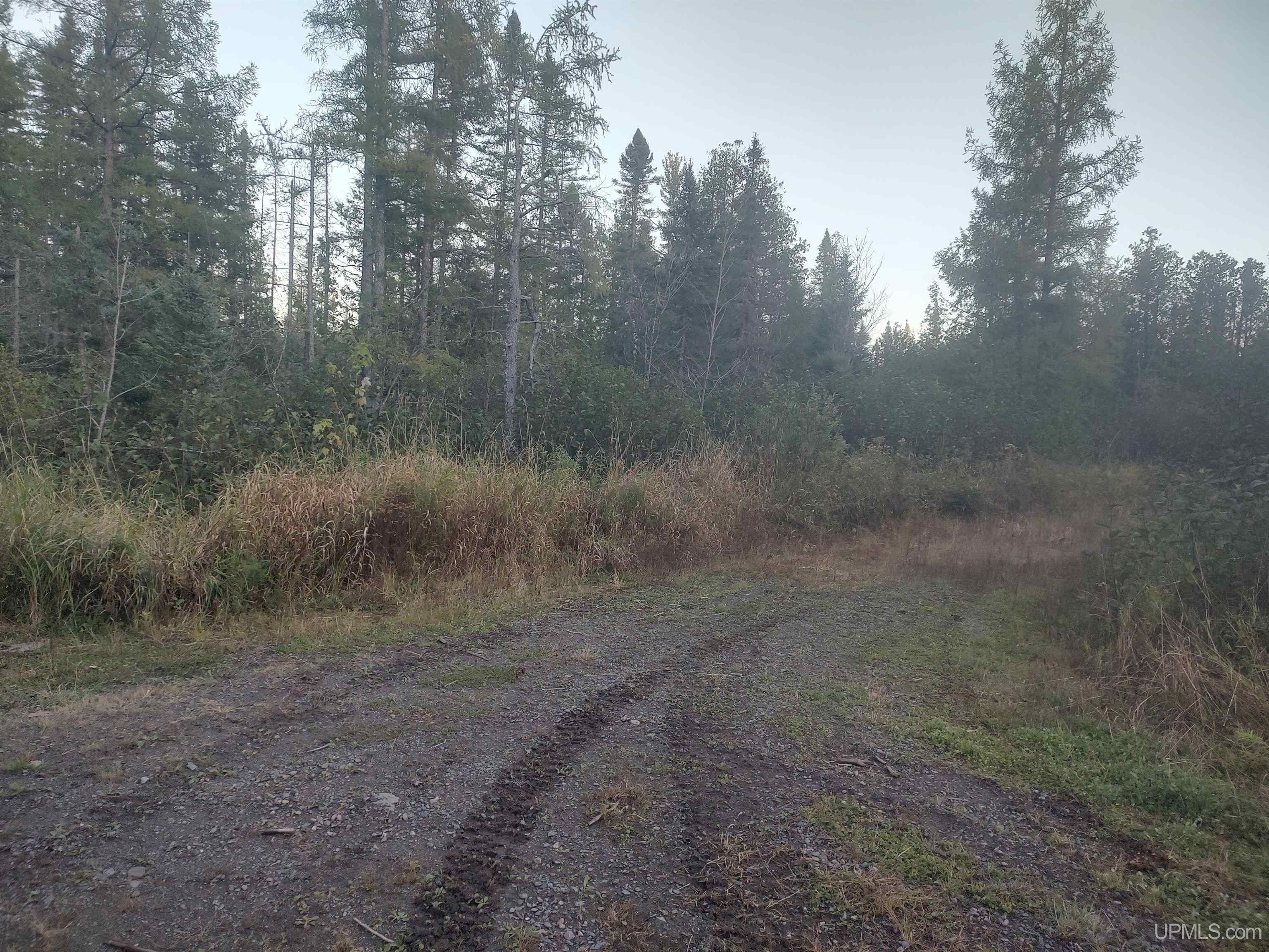 40 acres in Baraga County, Michigan
