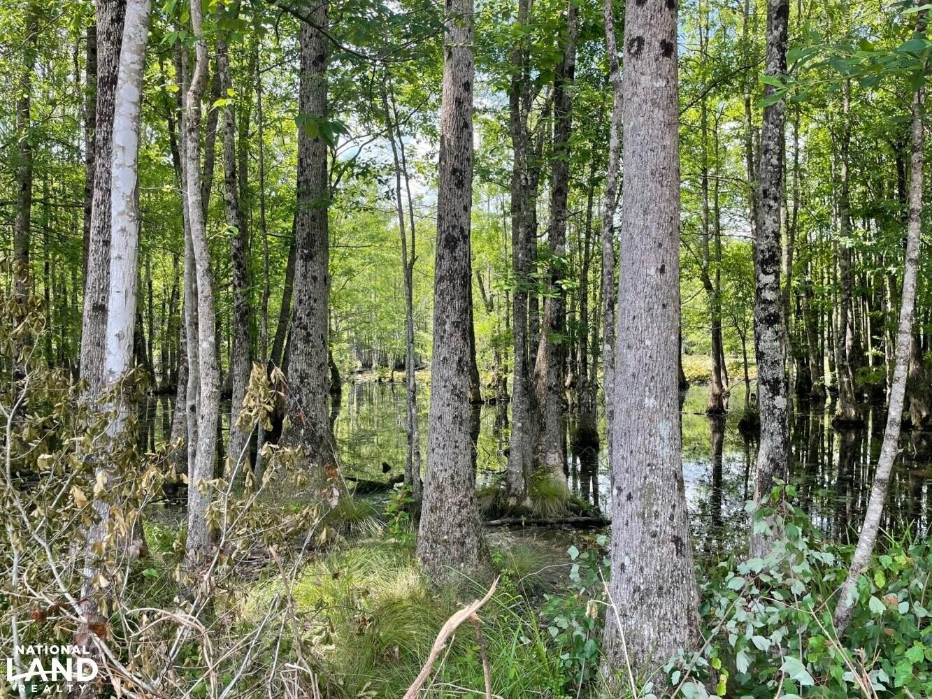 136 acres in Lamar County, Alabama