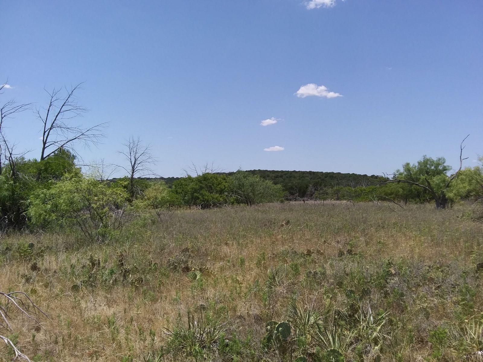 Big Country Trail, Strawn, TX 76475 MLS 20454939