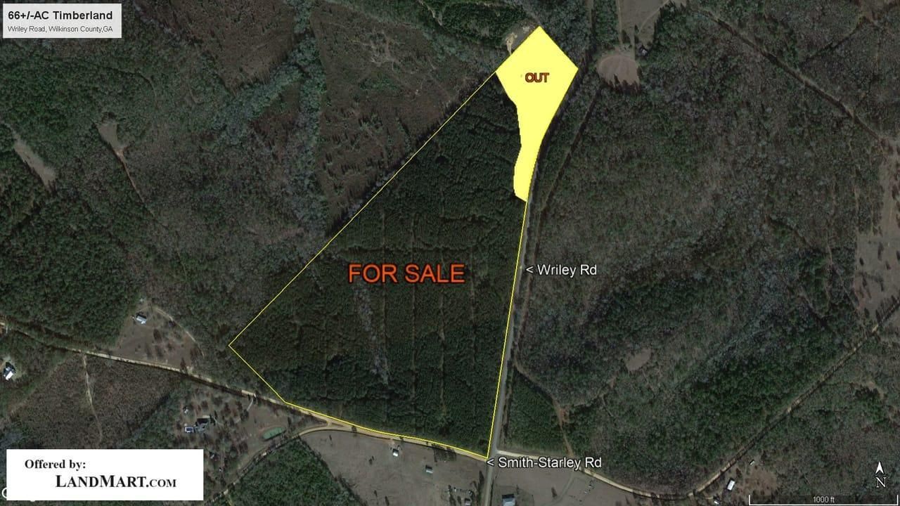 66 acres in Wilkinson County,