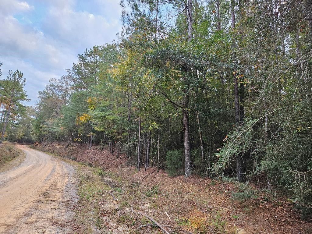 60 acres in Coffee County, Alabama