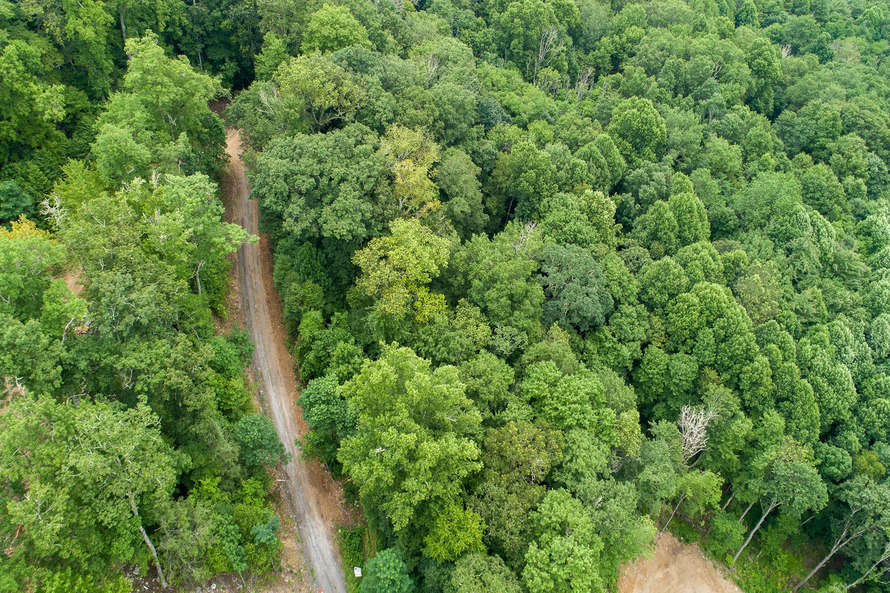 1.1 acres in Avery County, North Carolina