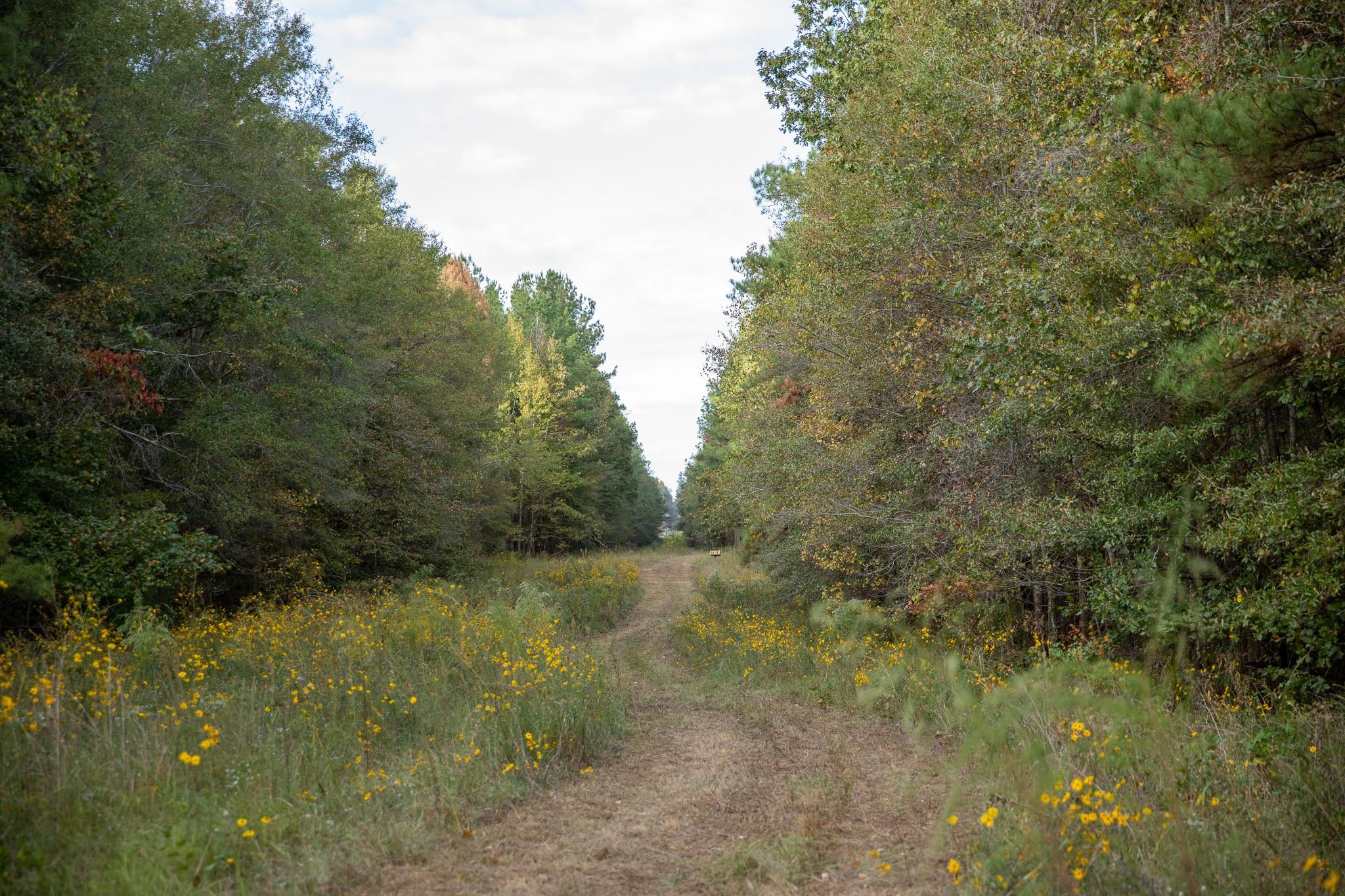 82.5 acres in Rankin County, Mississippi