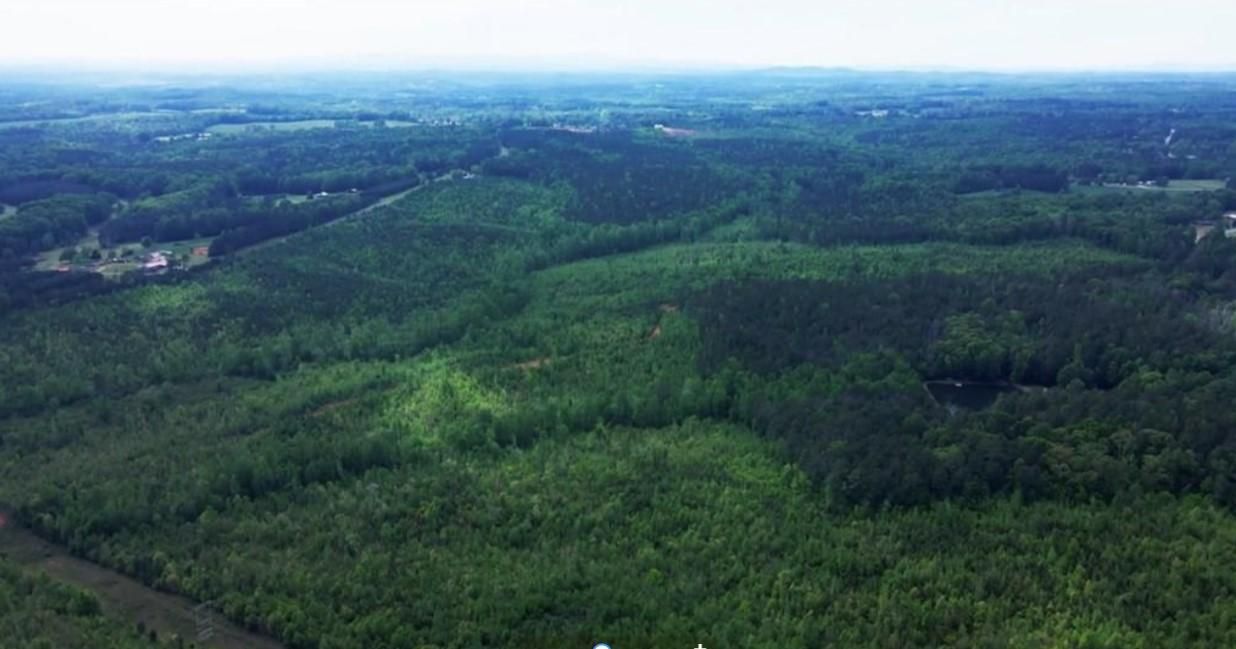 350.73 acres in Randolph County, Alabama