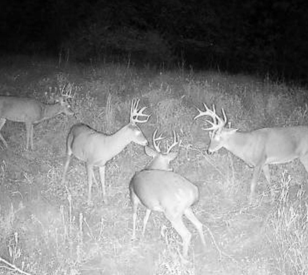 154 acres in Barber County, Kansas