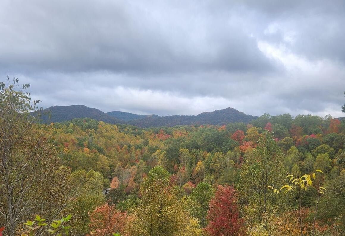 24.5 acres in Lee County, Virginia