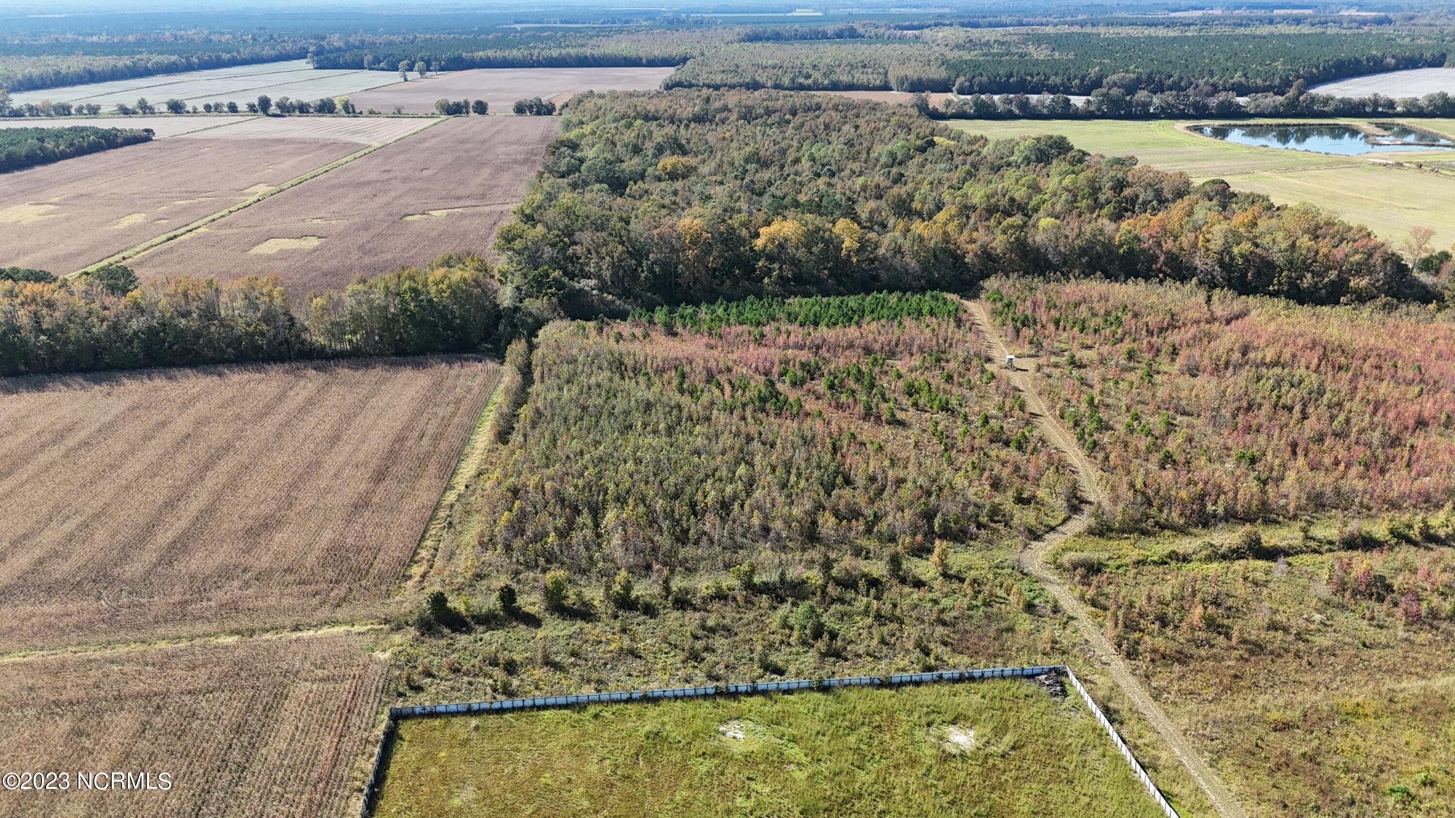 10 acres in Pitt County, North Carolina