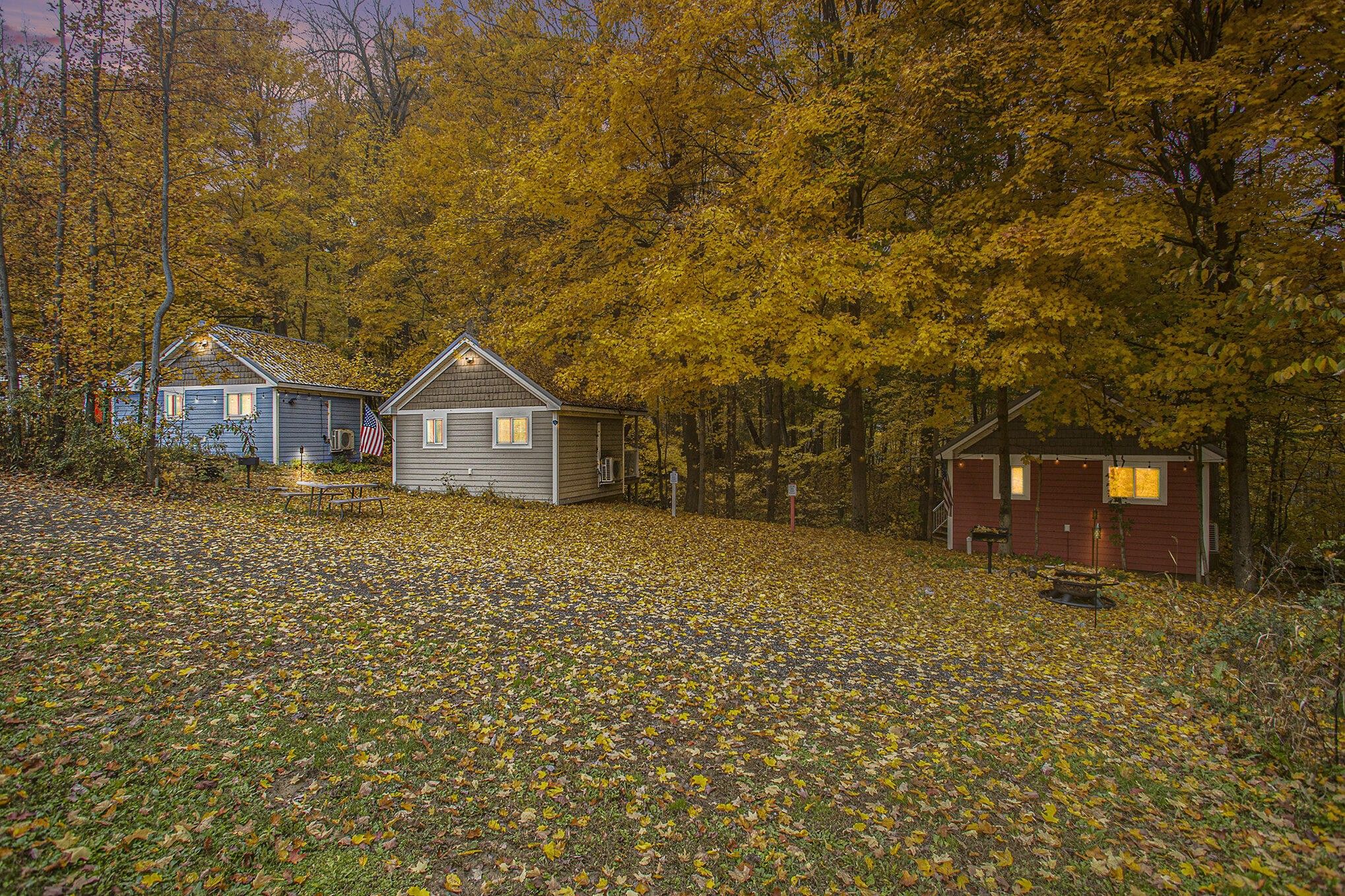 9.98 acres in Cass County, Michigan