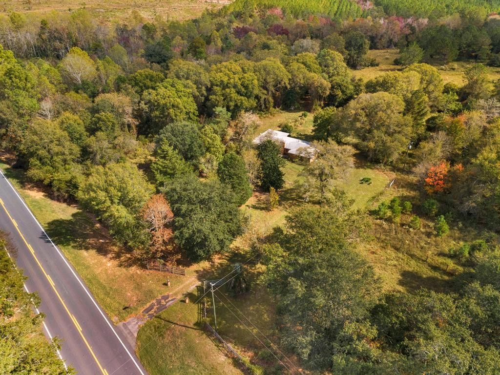 51.8 acres in Appling County,