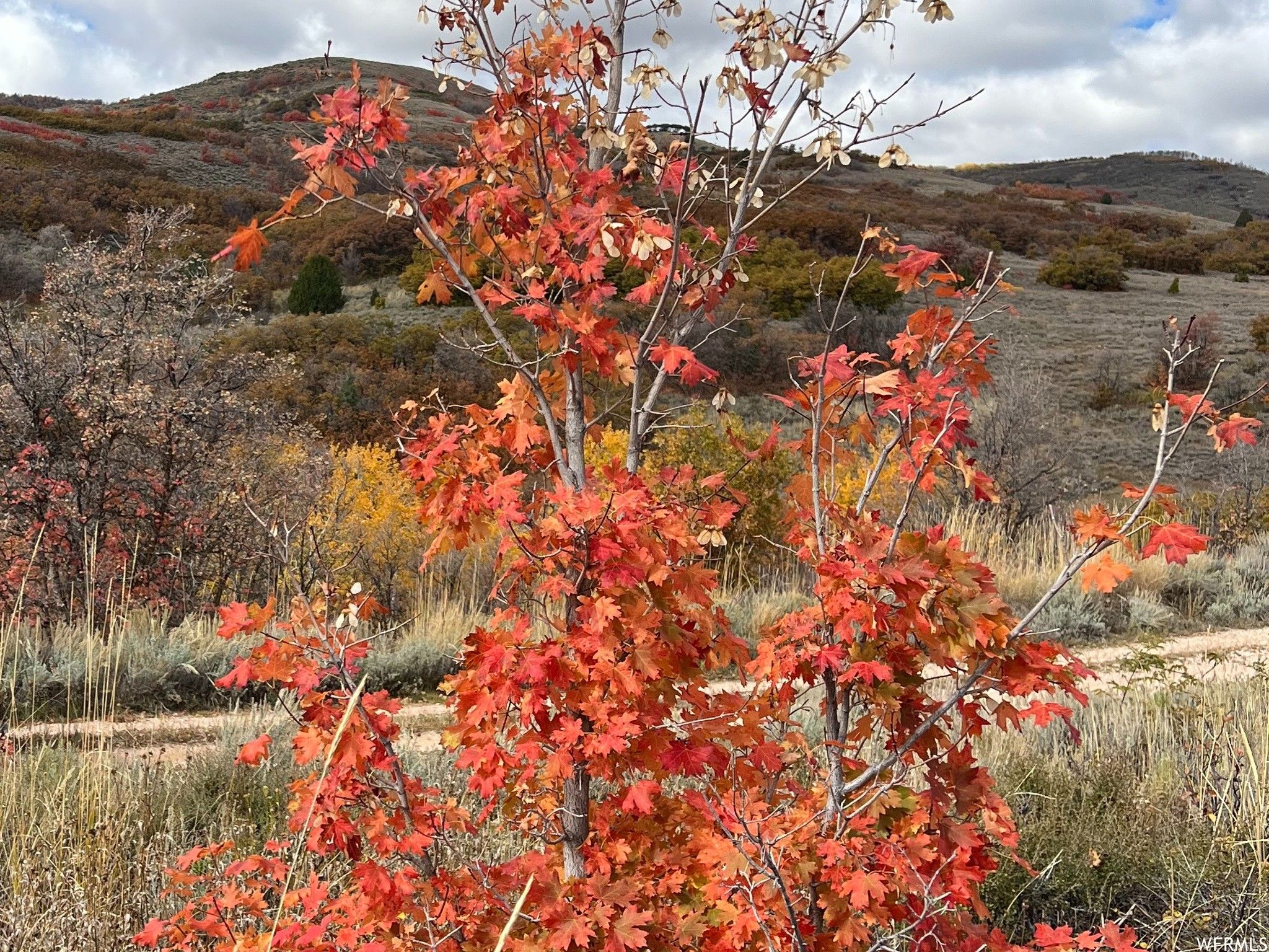 5 acres in er County, Utah