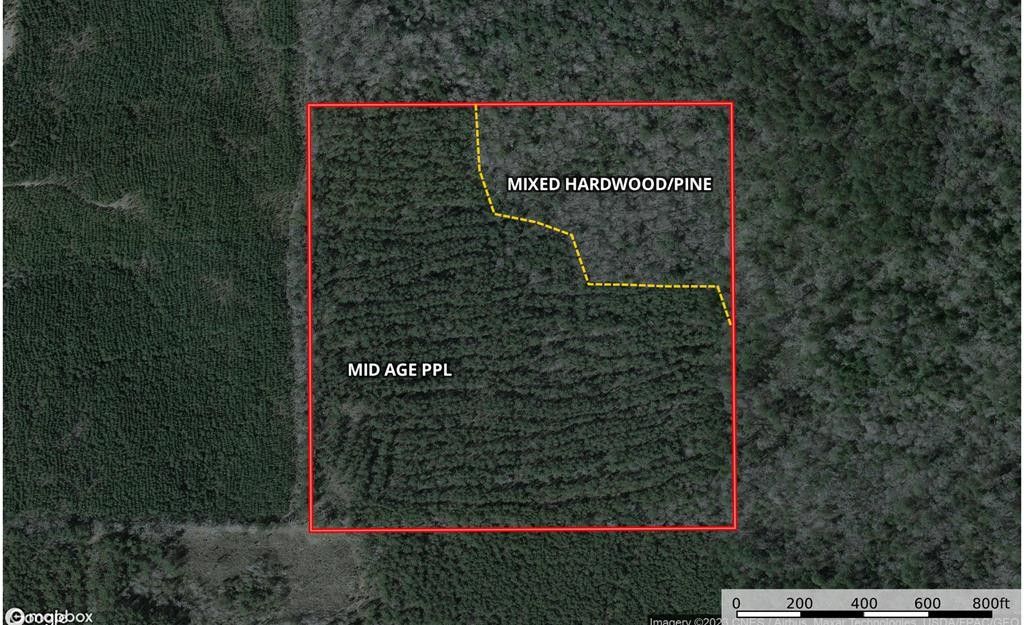 40 acres in Wayne County, Mississippi