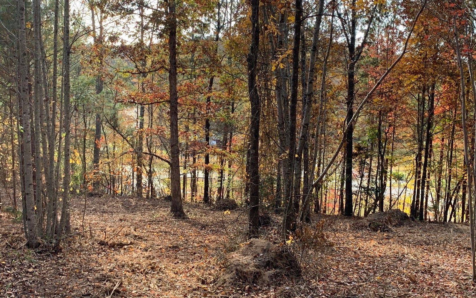 2.25 acres in Gilmer County,