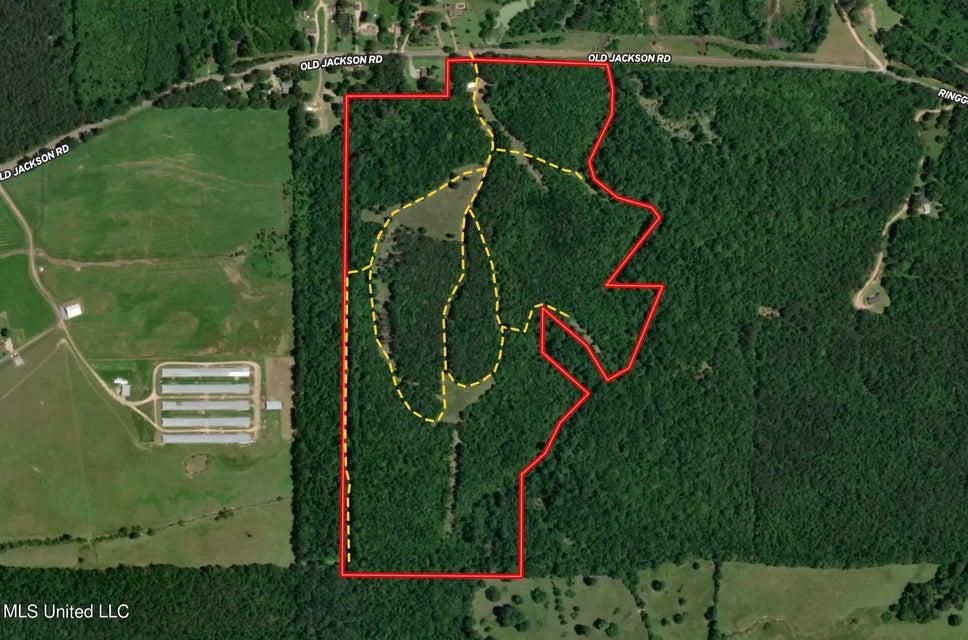 3462 Old Jackson Road, Forest, MS 39074 MLS 4067640