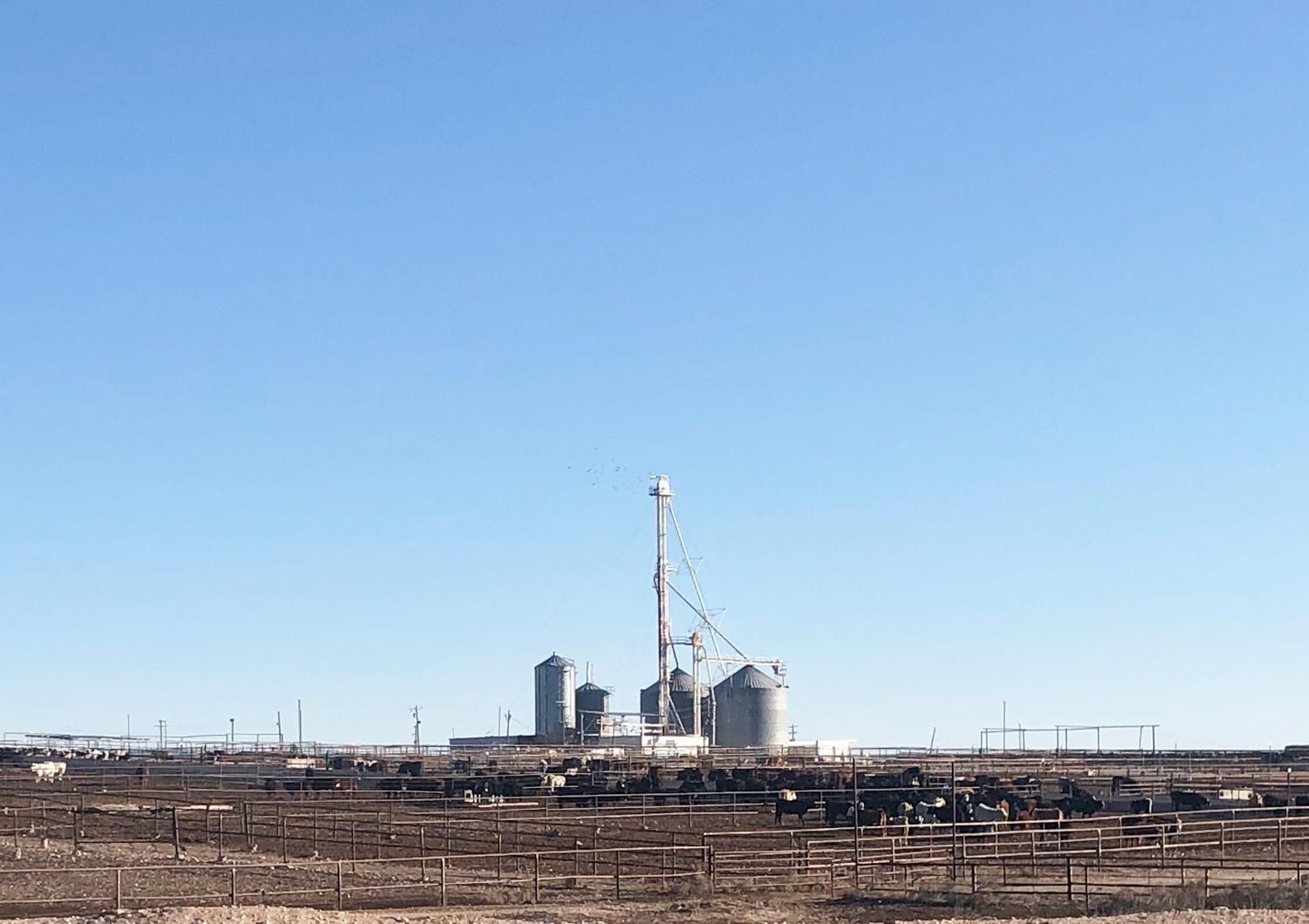 FM 3306, Seminole, TX 79360