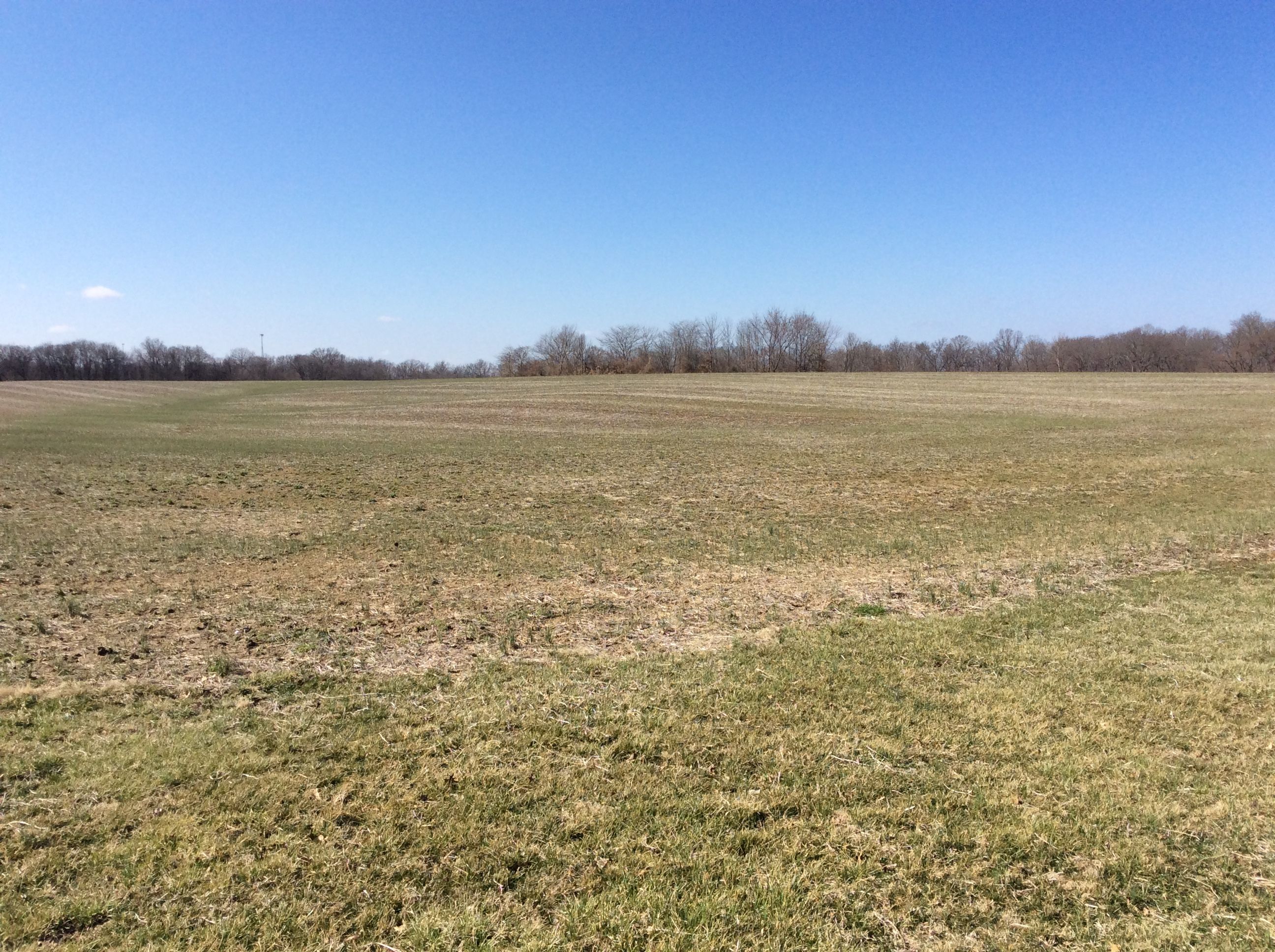 44.77 acres in Jefferson County, Illinois