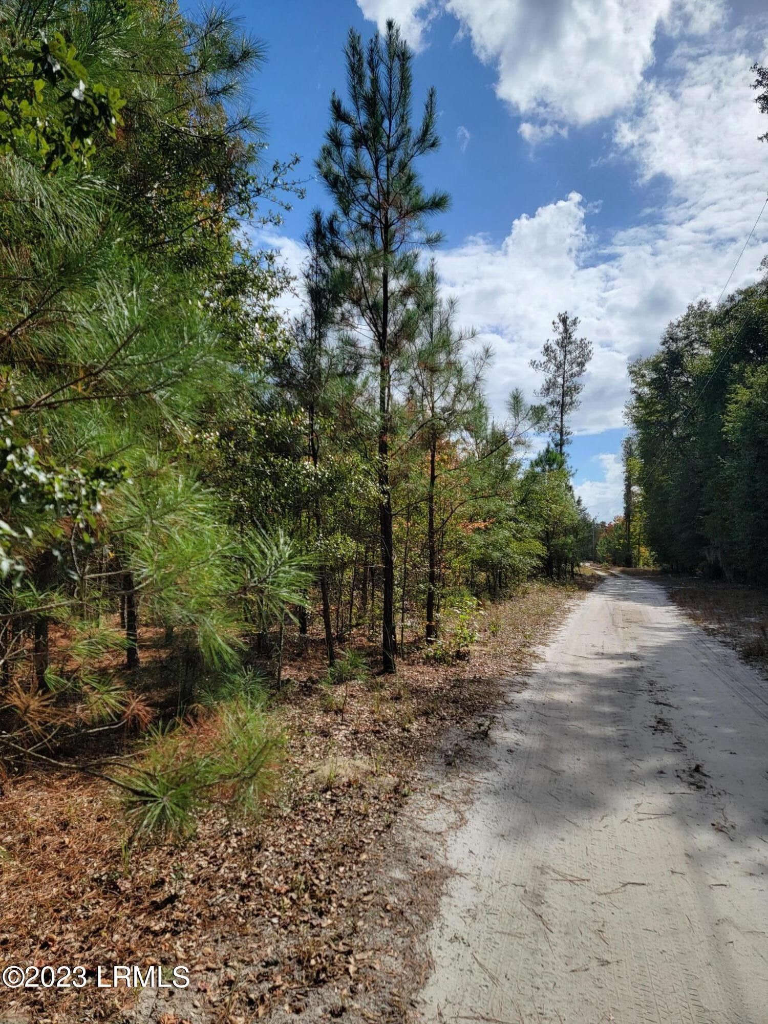 75 acres in Hampton County, South Carolina