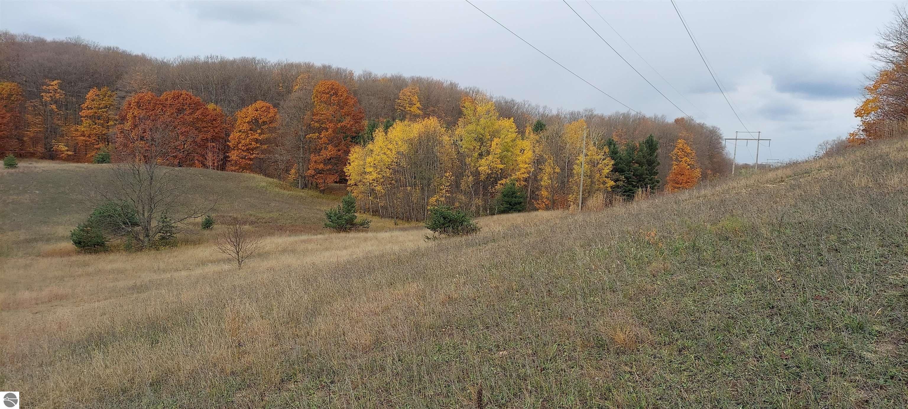 10 acres in Antrim County, Michigan