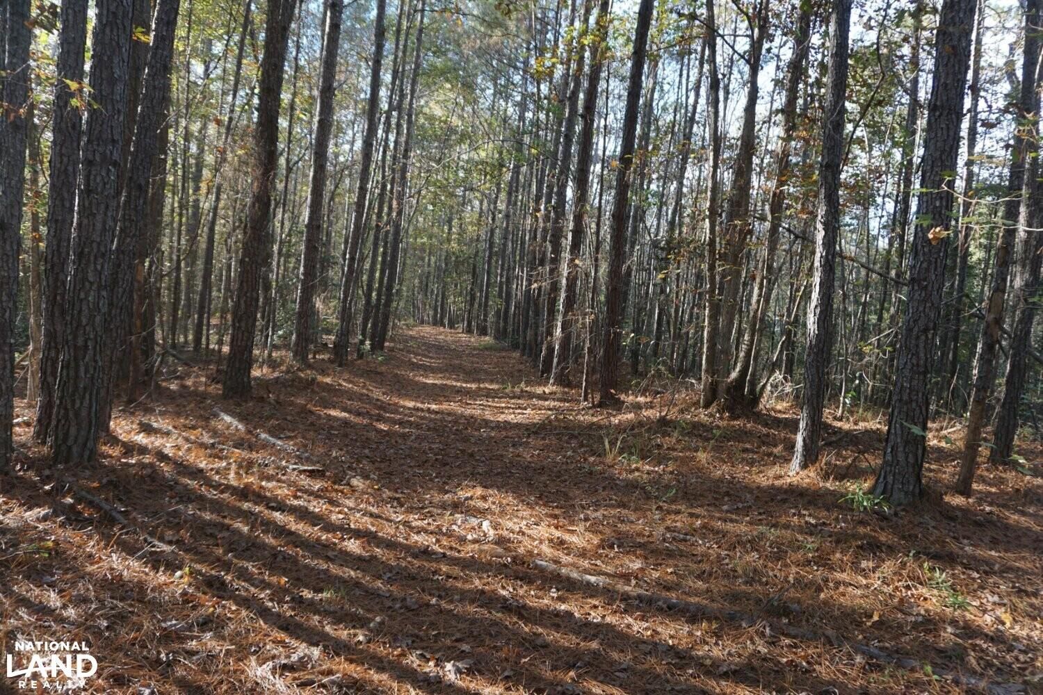 186 acres in Hale County, Alabama