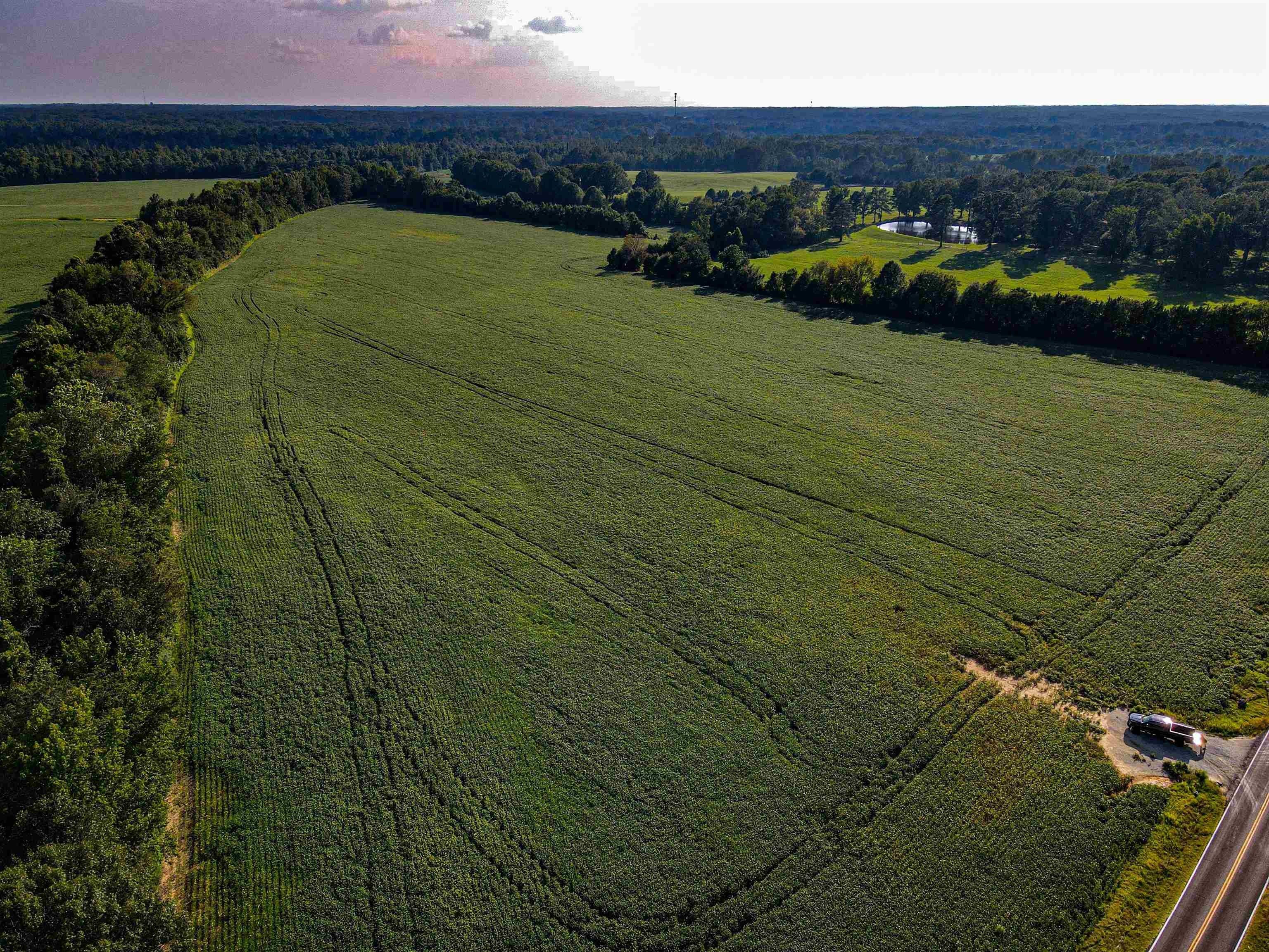 190 acres in Fayette County, Tennessee